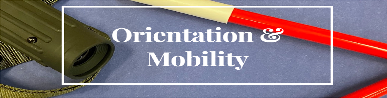Orientation and Mobility text Orientation and Mobility text